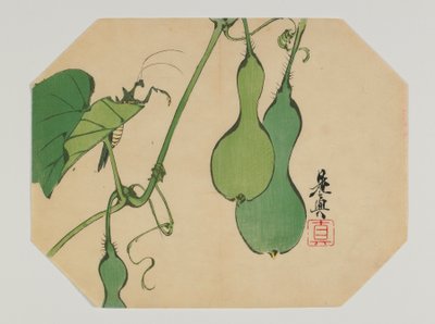 Print for an Uchiwa, Gourds on a Vine with a Mantis, Meiji Era by Shibata Zeshin
